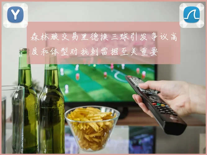 森林狼交易里德换三球引发争议高度和体型对抗刺雷掘至关重要
